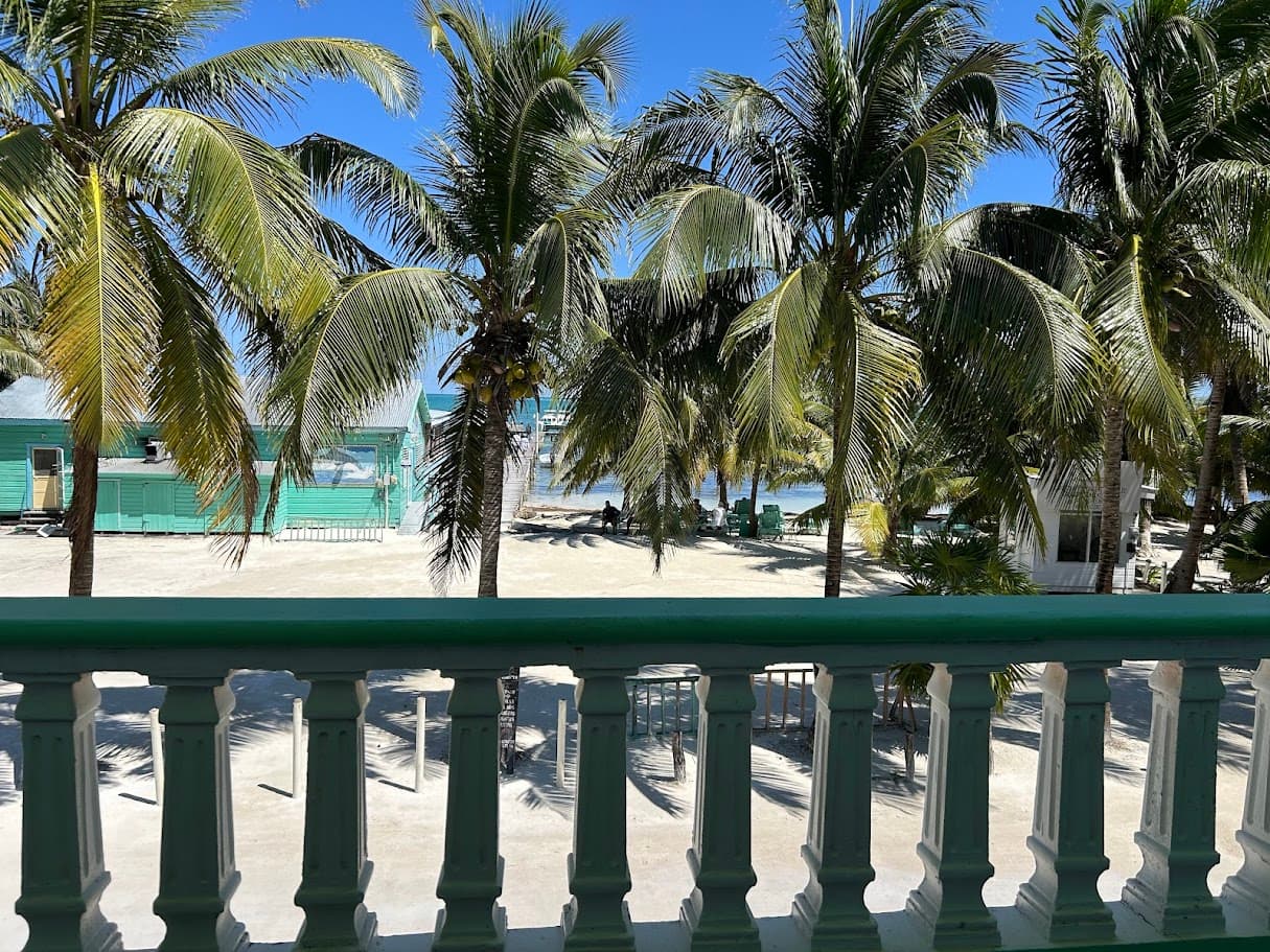 A sunny tropical view from a balcony, showcasing numerous palm trees, a sandy beach, and clear blue water with buildings in the distance.