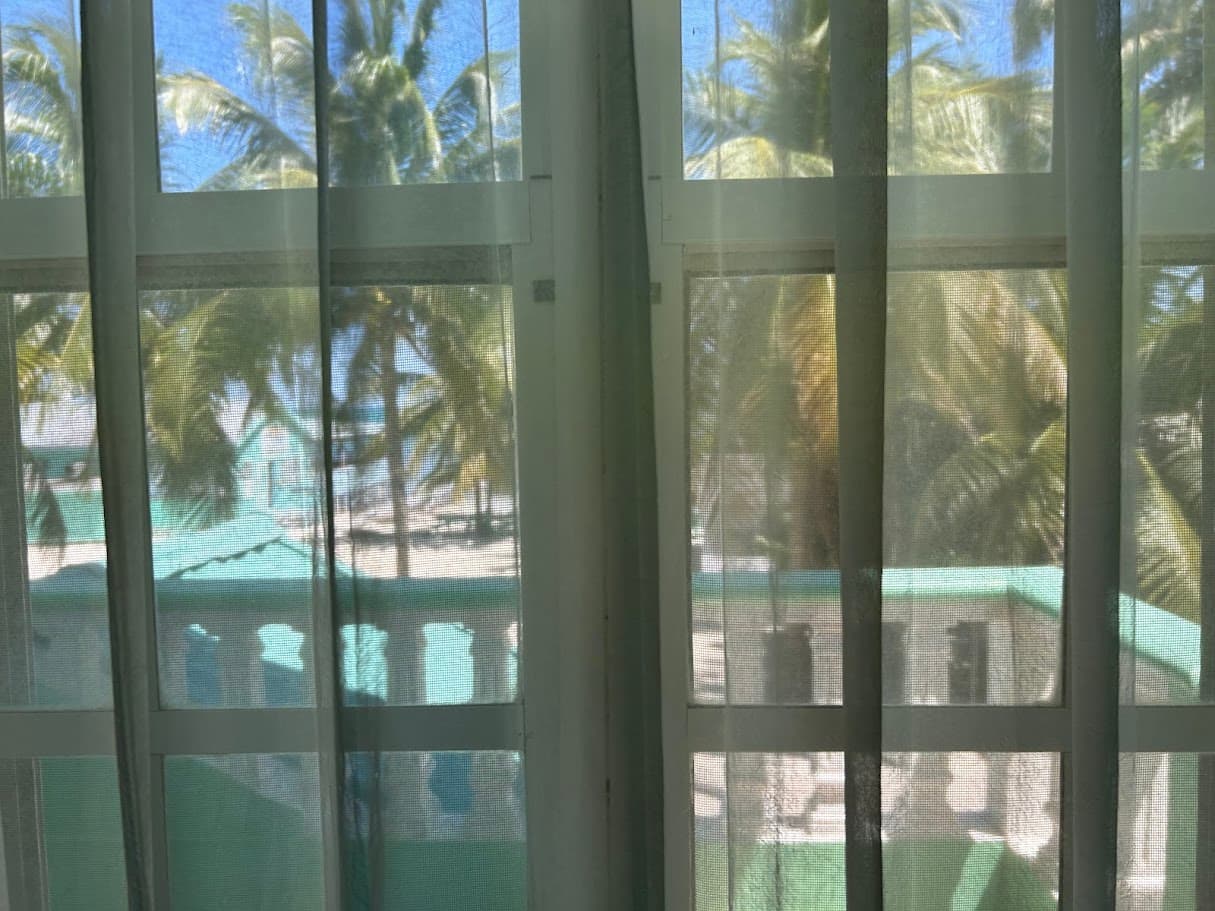 A vibrant view from a window showing lush palm trees under a clear blue sky, with glimpses of turquoise water and buildings below.