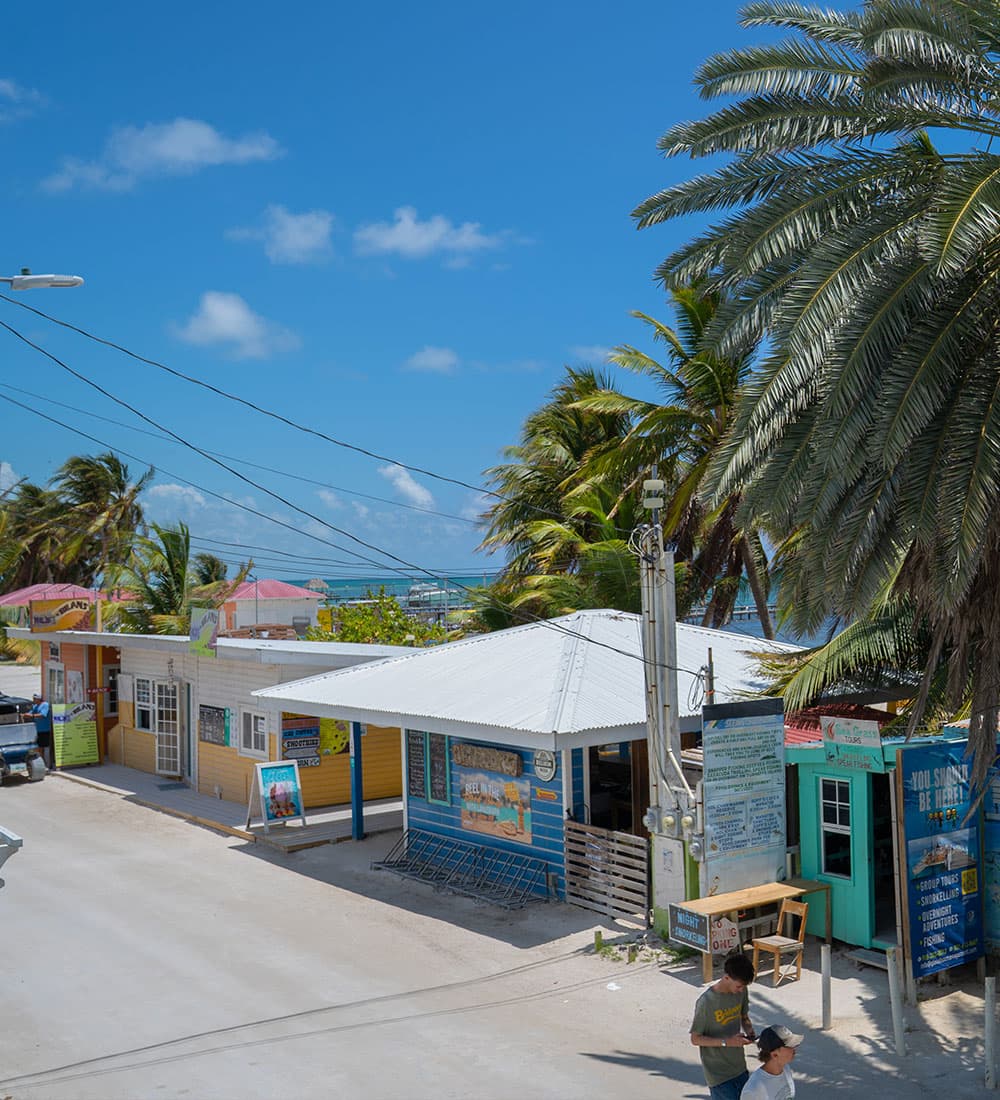 Colorful shops line a sunny street, framed by palm trees and a bright blue sky.